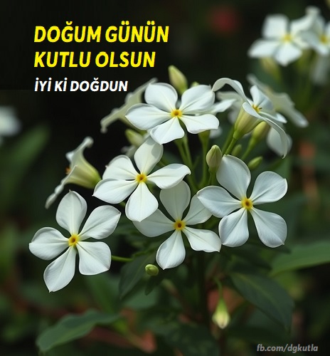 çiçekli doğum günü