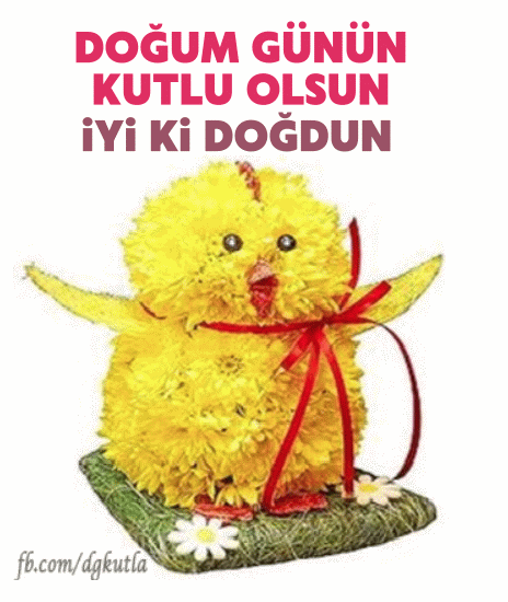 Doğum günü civciv gif