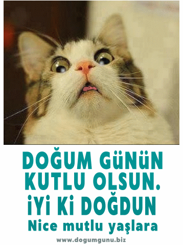 Hareketli kedi doğum günü gif