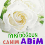 iyiki doğdun abi