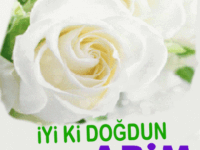 iyiki doğdun abi