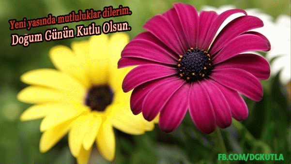 Çiçekli doğum günü kutlama mesajı