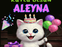 iyiki doğdun Aleyna